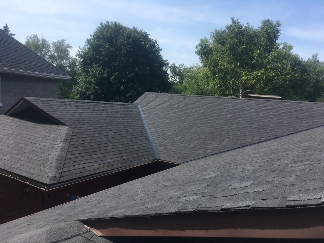 Newly replaced dark grey shingle roofs across connected rooflines